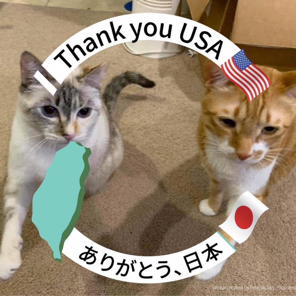 Meet your Posher, Michaelia